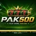 Pak500 Game