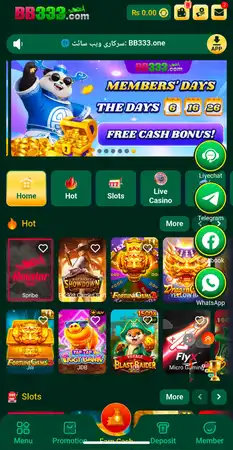 BB333 Game