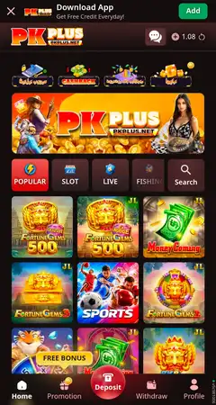 PKPLUS Game