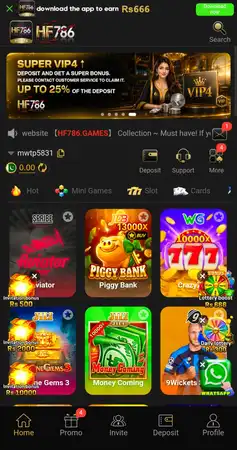 HF786 Game